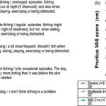 Atopic Canine Dermatitis Palmitoylethanolamide